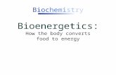 Biochemistry Bioenergetics: How the body converts food to energy.
