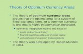 Theory of Optimum Currency Areas The theory of optimum currency areas argues that the optimal area for a system of fixed exchange rates, or a common currency,