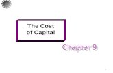 1 The Cost of Capital. Learning Goals Sources of capital Cost of each type of funding Calculation of the weighted average cost of capital (WACC) Construction.