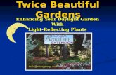 Twice Beautiful Gardens Enhancing Your Daylight Garden With Light-Reflecting Plants.