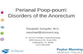 Perianal Poop-pourri: Disorders of the Anorectum Elizabeth Schaefer, M.D. easchaef@stvincent.org St. Vincent Pediatric Gastroenterology 8402 Harcourt Rd.