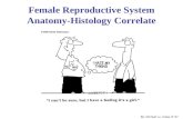 Female Reproductive System Anatomy-Histology Correlate By: Michael Lu, Class of ‘07.