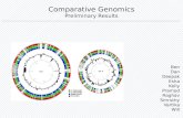 Comparative Genomics Preliminary Results Ben Dan Deepak Esha Kelly Pramod Raghav Smruthy Vartika Will.