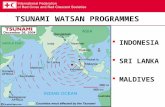 TSUNAMI WATSAN PROGRAMMES  INDONESIA  SRI LANKA  MALDIVES.