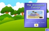 The Enormous Turnip Story retold by Bev Evans Once upon a time there was an old man who planted some turnip seeds. He watered them and cared for them.