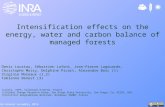 Intensification effects on the energy, water and carbon balance of managed forests Denis Loustau, Sébastien Lafont, Jean-Pierre Lagouarde, Christophe Moisy,