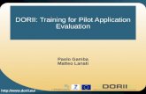 Http:// DORII: Training for Pilot Application Evaluation Paolo Gamba Matteo Lanati.