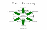Plant Taxonomy. Basics of Characters A taxonomic character is any expressed attribute of an organism that can be evaluated and that has two or more discontinuous.
