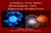 Insights from Radio Wavelengths into Supernova Progenitors Laura Chomiuk Jansky Fellow, Michigan State University.
