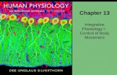 Chapter 13 Integrative Physiology I: Control of Body Movement.