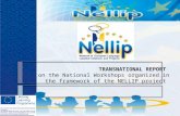 TRANSNATIONAL REPORT on the National Workshops organized in the framework of the NELLIP project.