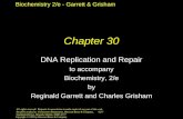 Biochemistry 2/e - Garrett & Grisham Copyright © 1999 by Harcourt Brace & Company Chapter 30 DNA Replication and Repair to accompany Biochemistry, 2/e.