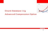 1 Oracle Database 11g Advanced Compression Option.