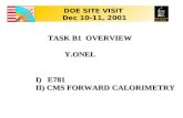 TASK B1 OVERVIEW Y.ONEL Y.ONEL DOE SITE VISIT Dec 10-11, 2001 I) E781 II) CMS FORWARD CALORIMETRY.