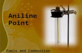 Aniline Point Presentation