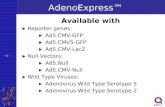 - 1 - AdenoExpress Available with Reporter genes: Ad5.CMV-GFP Ad5.CMV5-GFP Ad5.CMV-LacZ Null Vectors: Ad5.Null Ad5.CMV-Null Wild Type Viruses: Adenovirus.