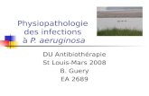 Physiopathologie des infections à P. aeruginosa DU Antibiothérapie St Louis-Mars 2008 B. Guery EA 2689.