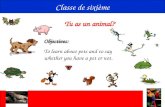 Tu as un animal? Classe de sixième Objectives: To learn about pets and to say whether you have a pet or not.