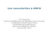 Les vascularites à ANCA Eric Hachulla Centre de Référence des Maladies Auto-Immunes et Maladies Systémiques Rares -Sclérodermie Systémiques- Service de.