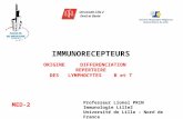 IMMUNORECEPTEURS ORIGINE DIFFERENCIATION REPERTOIRE DES LYMPHOCYTES B et T MED-2 Professeur Lionel PRIN Immunologie Lille2 Université de Lille – Nord de.