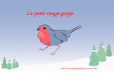 Le petit rouge-gorge. (adapted from Little Robin Red Vest by Jan Fearnley)
