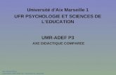 Jean Michel Pérez, Laboratoire UMR-ADEF P3 Université Aix -Marseille, Université dAix Marseille 1 UFR PSYCHOLOGIE ET SCIENCES DE LEDUCATION UMR-ADEF P3.