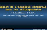 Delamillieure-p@chu-caen.fr UMR6194 Apport de limagerie cérébrale dans les schizophrénies P Delamillieure, S Dollfus UMR 6194 CNRS & Centre Esquirol, CHU.
