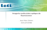 Imagerie moléculaire optique de fluorescence Jean-Marc Dinten CEA-LETI/DTBS.
