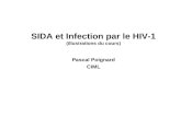 SIDA et Infection par le HIV-1 (illustrations du cours) Pascal Poignard CIML.