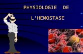 PHYSIOLOGIE DE LHEMOSTASE. plan A - Introduction B - Physiologie C – Exploration D - Pathologies.