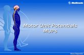 Neuro Diagnostics Motor Unit Potentials MUPs Motor Unit Potentials MUPs.