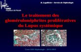 Le traitement des glomérulonéphrites prolifératives du Lupus systémique Cours DES Néphrologie – 28/11/2013 B. Legallicier – Service de Néphrologie.