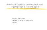 Interface syntaxe-sémantique pour l extraction d information Amalia Todirascu Equipe Langue et Dialogue LORIA.