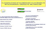 CLASSIFICATION OF ELEMENTARY FLUX MODES IN MITOCHONDRIAL ENERGETIC METABOLISM (« Physiopathologie Mitochondriale », INSERM U688 & Université de BORDEAUX.