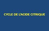 CYCLE DE LACIDE CITRIQUE. PLAN I/ INTRODUCTION II/ LOCALISATION III/ VUE DENSEMBLE DU CYCLE DU CITRATE IV/ ROLES V/ ETAPES VI/ BILAN VII/ BILAN ENERGETIQUE.