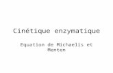 Cinétique enzymatique Equation de Michaelis et Menten.