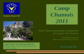 Camp Chamois 2011 3ème Camp international d'exploration de la grotte des Chamois (Castellet-lès-Sausses, Alpes-de-Haute-Provence, France) 10 au 21 août.