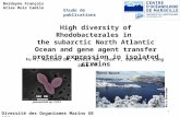 High diversity of Rhodobacterales in the subarctic North Atlantic Ocean and gene agent transfer protein expression in isolated strains Diversité des Organismes.