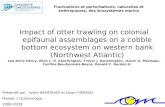 1 Impact of otter trawling on colonial epifaunal assemblages on a cobble bottom ecosystem on western bank (Northwest Atlantic) Lea-Anne Henry, Ellen L.