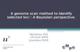 A genome scan method to identify selected loci : A Bayesian perspective. Matthieu Foll 28 aout 2008 Journées MAS.