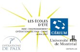 Cerium.ca. École dété du Cérium 2007 Formation sur les opérations de paix « Le recours à la force dans les opérations de paix » Michel Liégeois.