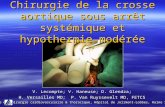 Chirurgie de la crosse aortique sous arrêt systémique et hypothermie modérée V. Lecompte; V. Haneuse; D. Glendza; H. Versailles MD; P. Van Ruyssevelt MD,