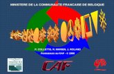 P. COLLETTE, R. MARIEN, J. ROLAND Formateurs au CAF - © 1999 MINISTERE DE LA COMMUNAUTE FRANCAISE DE BELGIQUE.