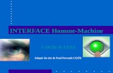 INTERFACE Homme-Machine LOOK & FEEL Adapté du site de Paul Perrault UQTR.