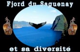 Le journaliste du National Geographic Yves Ouellet l’a affirmé sur son blogue : Digital Nomad. Le fjord du Saguenay compte parmi les 16 destinations.