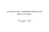 La Grammaire: Indefinite articles and plural of nouns Page 24.