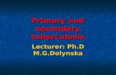 Primary and secondary tuberculosis