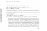 Morel 1998 Ann Rev Ecol Systemat 29 543 chem cycle bioaccum hg