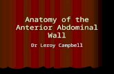 Anatomy of the anterior Abdominal Wall2 (edited)