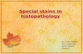special stains in histopathology KEM hospital mumbai
